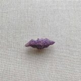 クスノキのブローチ ＊コウモリ＊