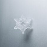 雪、ついてるよ　no.18 雪の結晶　ピンブローチ　樹枝結晶の画像