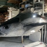 リアル魚オブジェの画像