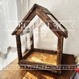 卓上温室・テラリウム ・ディスプレイボックス・コレクションケース　焼杉無垢材使用。USBライト付の画像