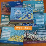 2025魚の群カレンダー（エコパック）の画像