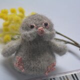 文鳥・シナモンの画像