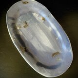 だ円皿_blueの画像