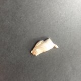 セミオーダ【眠りうさぎ】