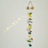 ミモザのガーランドの画像
