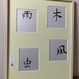 木　風　雨　虫の画像