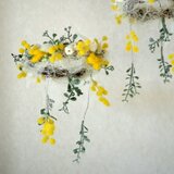 ゆらゆら揺れるミモザのフライングリース (S)の画像