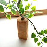 木の一輪挿し　トチの木　　の画像