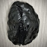 蛹化 pupatation (No.1)