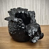 種子散布 seed dispersal