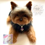 オーダーメイドでワンちゃんお作り致します☆