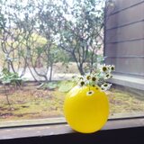 ワッフル丸花瓶～きいろ～の画像