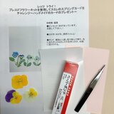 春！スミレのスプリングカードを作れるキットの画像