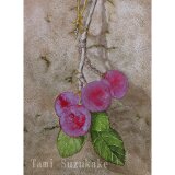 水彩画・原画「プラムの実」の画像