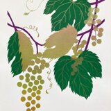 シルクスクリーン版画　ぶどうの画像