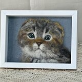 羊毛フェルト猫のポートレートの画像