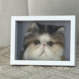 羊毛フェルト猫のポートレートの画像
