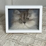 羊毛フェルト猫のポートレートの画像