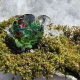 Forest of life　命の森　④の画像