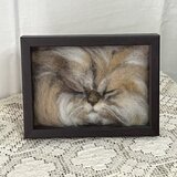 羊毛フェルト猫のポートレートの画像