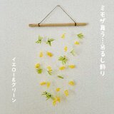 ミモザ舞う…タペストリーの画像