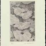 蕗（ふき)・2011/銅版画 (作品のみ）の画像