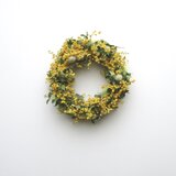 mimosa wreathの画像