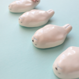アザラシのはしおきの画像