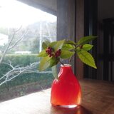 konoha花瓶すぼみくち～赤×ミント～