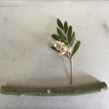 オリーブと花のコサージュの画像