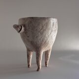 イキモノAの画像