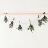 ユーカリグニーとローズマリーのナチュラルなハーブの2wayモビール