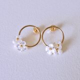Dolce✴︎ドルチェの画像
