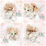 虎桜　ホワイトタイガー赤ちゃん　完全オリジナル　Baby 自立・可動　ベビとらちゃん 羊毛フェルト アートドールの画像