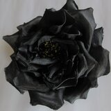 シルクの黒バラコサージュ（花芯黄×黒）の画像