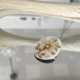 七宝焼　更紗文様のブローチの画像