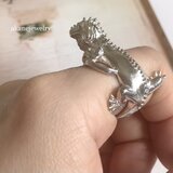 イグアナの指輪の画像