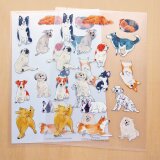 A4クリアファイル　犬の画像