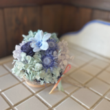 ブッダナッツアレンジ【布みみ×プリザーブドフラワー】