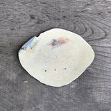 化粧掻き落とし文様　皿150の画像