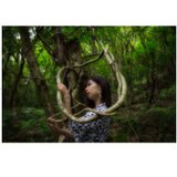 屋久島 魅入られる幻想の森 [3] 【風景写真・ポスターアート インテリア】の画像