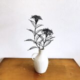 山紫陽花 (大)の画像