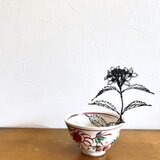 山紫陽花 (小)の画像