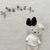 くまさんの画像