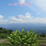 ＊v様ご依頼品の画像