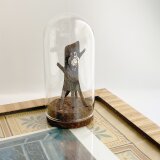 グラスドームブローチ　フクロウの画像