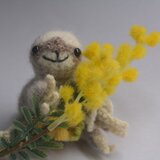 ナマケモノの画像
