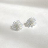 綿雪5の画像