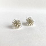 綿雪6の画像