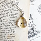 Romanechite Hollanditeの画像